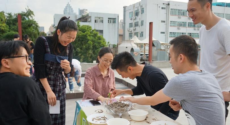 YANG设计集团生日会_乐享春光放肆Hai
